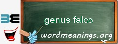 WordMeaning blackboard for genus falco